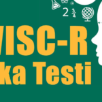 Wisc-r-Zeka-Testini-Kimler-Wisc-r-Nasil-Yapilir-Uygulayabilir-Wisc-r-Testi-Nedir